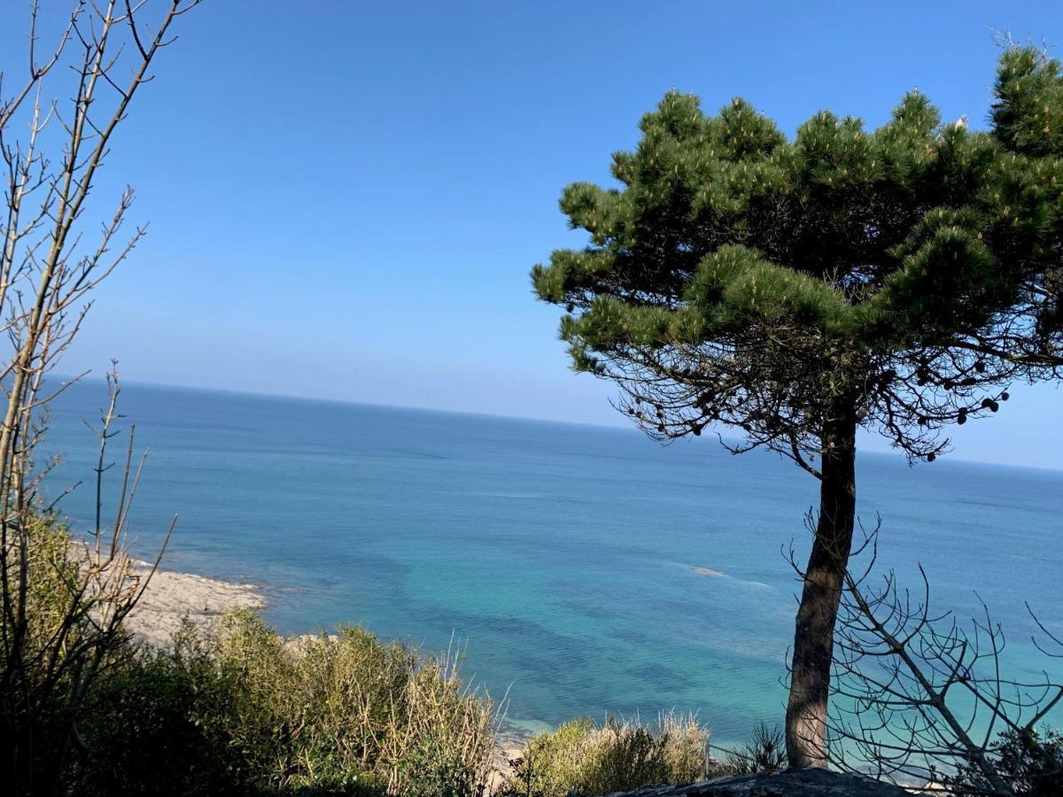 Appartement Villa Chausey, Vue Sur Le Port Granville Kültér fotó